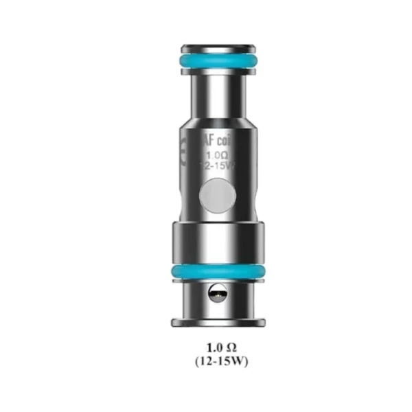 1.0 Ohm