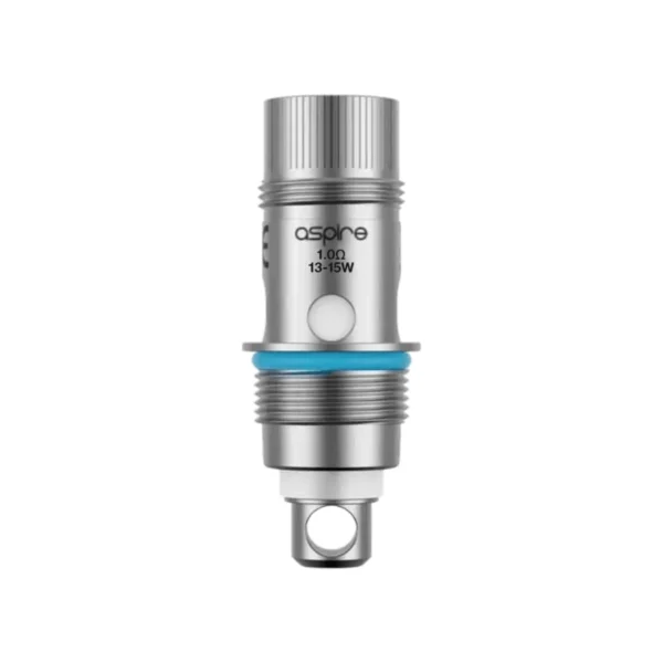 1.0 Ohm